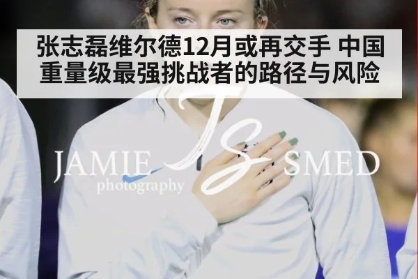 张志磊维尔德12月或再交手 中国重量级最强挑战者的路径与风险